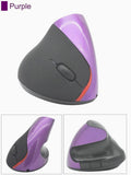 Purple (Pack of 1)