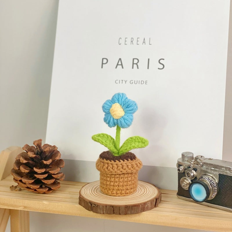 Creative home decor succulent arrangement