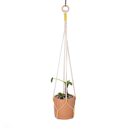 Artistic wall hanging for plants - image 4