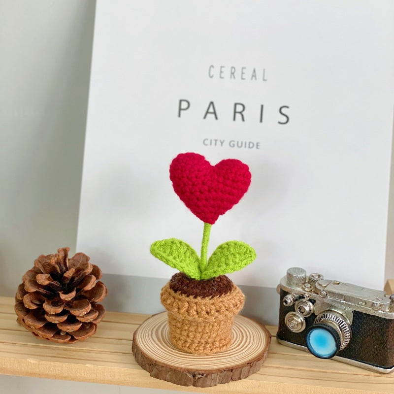 Indoor succulent decoration for table