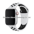 24 white with black