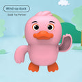 Pink Duck (Pack of 1)