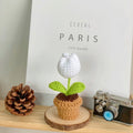 B Style White Tulip Potted Plant