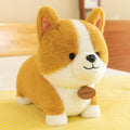 25 cm (Pack of 2)