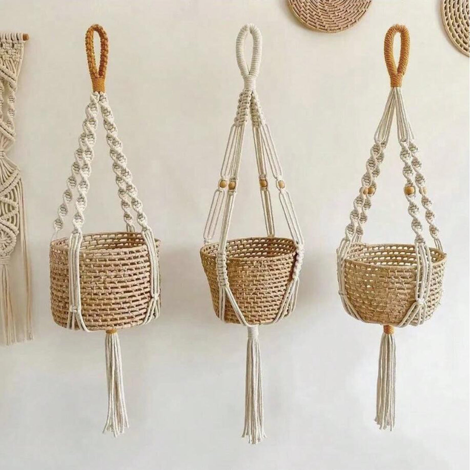 Lightweight plant hanging solution image 6