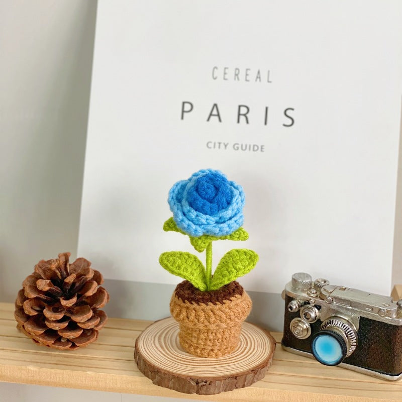 Creative home decor succulent arrangement