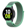 31# Spearmint Color