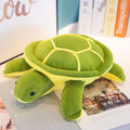 35 cm (Pack of 2)
