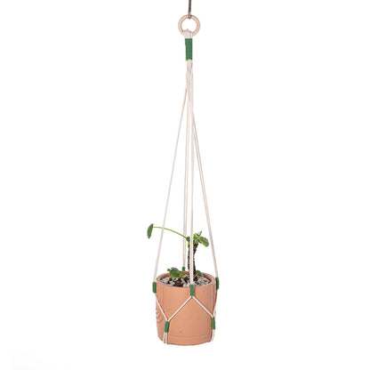 Bohemian style plant wall decor - image 2