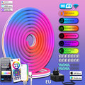 12V Neon Graffiti WIFI & BLE RGBIC (5 meters, 300 lights) EU Standard (Pack of 1)