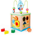 Intelligence Box with Bead Maze (Pack of 1)