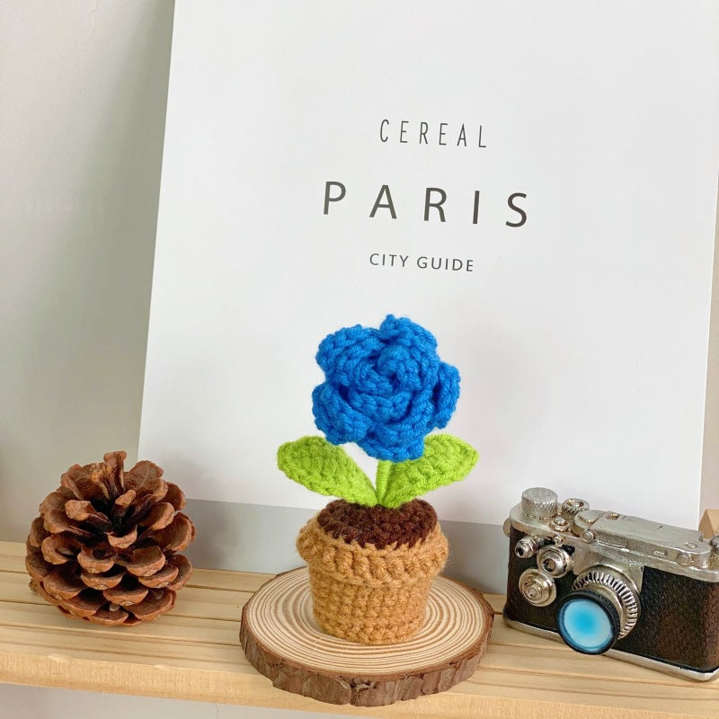 Indoor succulent decoration for table