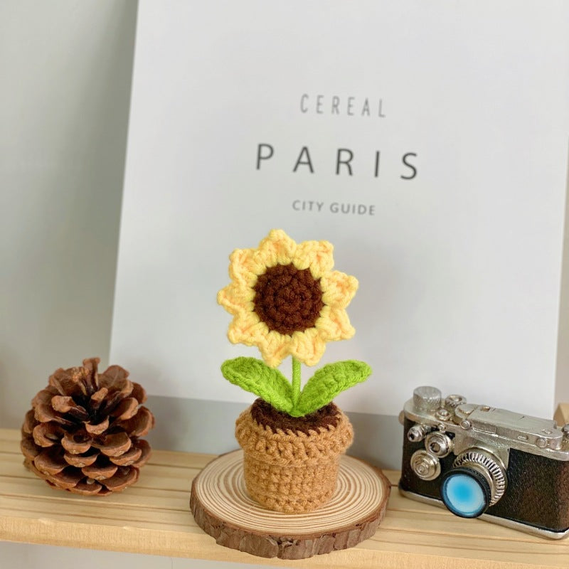 Textured green succulent display