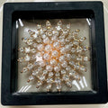 High-end floating gift box [actual photo] (7*7)